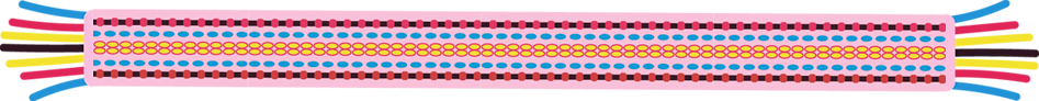 ribbon