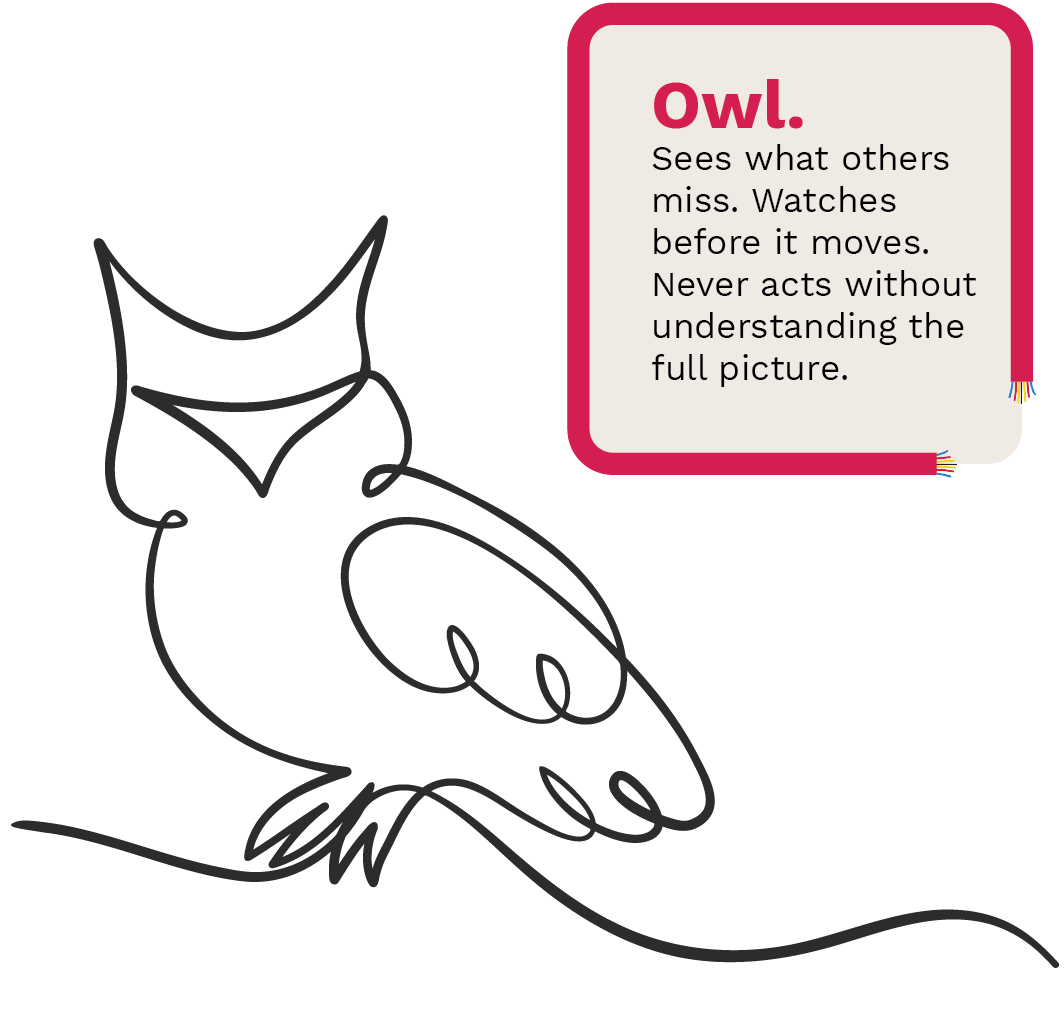 Owl. 
Sees what others miss. Watches before it moves. Never acts without understanding the full picture.